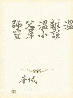 师父温离温崖洛灵犀小说封面