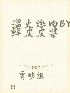 温火炖肉BY海鲜皮皮酱