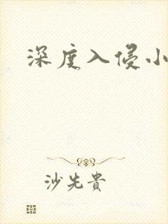 深度入侵小说