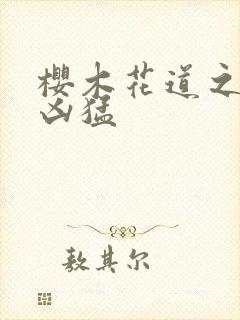 樱木花道之重生凶猛封面