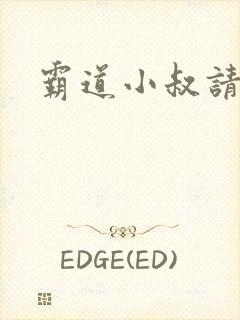 霸道小叔请轻撩