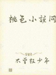 桃色小说网