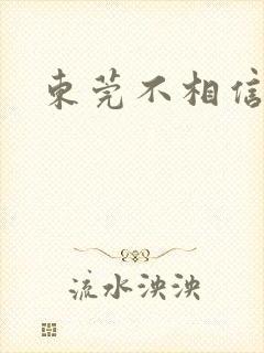 东莞不相信眼泪