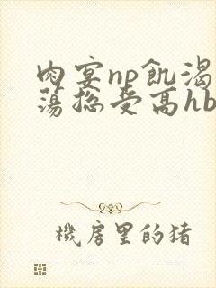 肉宴np饥渴放荡总受高hbl封面