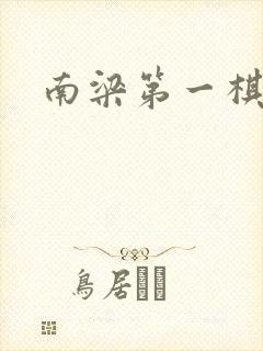 南梁第一棋手封面