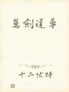 万剑道尊封面