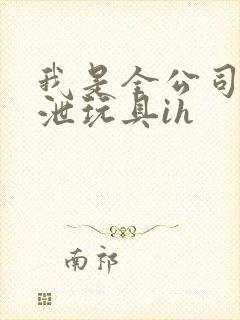 我是全公司的发泄玩具ih