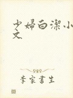 少妇白洁小说全文封面