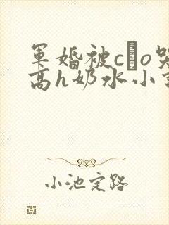 军婚被cαo哭高h奶水小说封面