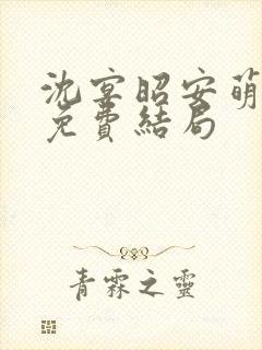 沈宴昭安萌全文免费结局