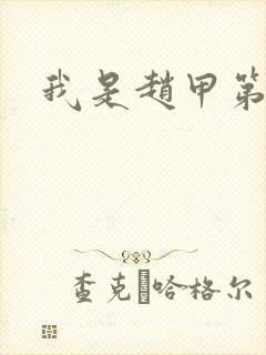 我是赵甲第小说