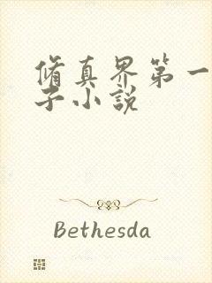 修真界第一病秧子小说封面