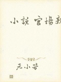 小说 官场新贵