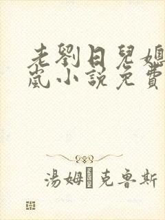 老刘日儿媳妇张岚小说免费阅读