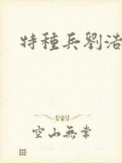 特种兵刘浩封面