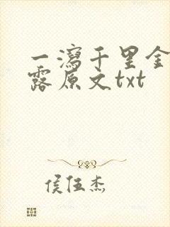 一泻千里金银花露原文txt封面