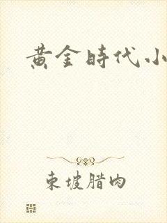 黄金时代小说