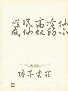 催眠高冷仙奴变成仙奴的小说封面