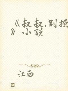 《叔叔,别撩我》小说