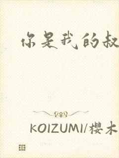 你是我的叔叔2封面