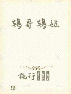 鸨哥鸨姐封面