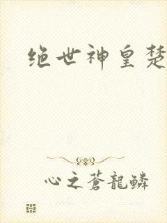 绝世神皇楚风封面