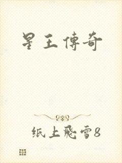 星王传奇
