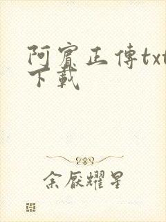 阿宾正传txt下载