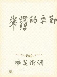 灿烂的季节剧情介绍