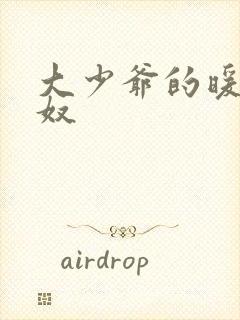 大少爷的暖床小奴