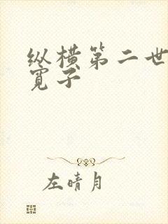 纵横第二世界 宽子封面