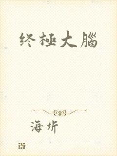 终极大脑封面