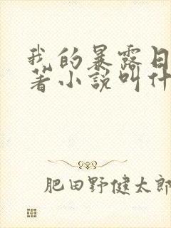 我的暴露日记原著小说叫什么