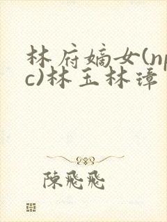 林府嫡女(npc)林玉林璋