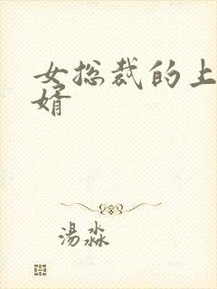 女总裁的上门女婿封面