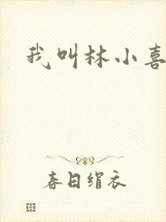 我叫林小喜17封面