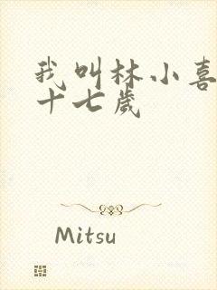 我叫林小喜今年十七岁