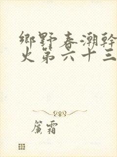 乡野春潮干柴烈火第六十三章