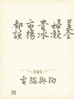 都市贵妇美腿小说杨冰凝全文阅读封面