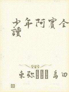 少年阿宾全集阅读