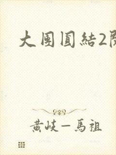 大团圆结2阅读