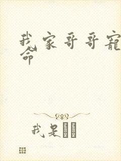 我家哥哥宠妹如命