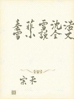 秦菲雪沈浩秦菲雪小说全文免费阅读求书封面