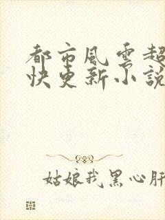 都市风云超前超快更新小说