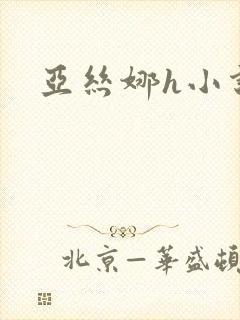 亚丝娜h小说封面