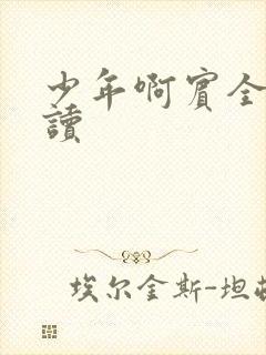 少年啊宾全文阅读封面