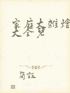 家庭大杂烩小说大全儿