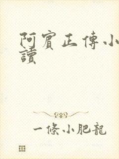 阿宾正传小说在读