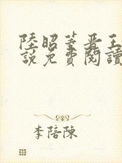 陆昭菱晋王的小说免费阅读