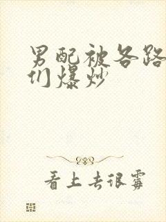 男配被各路大佬们爆炒